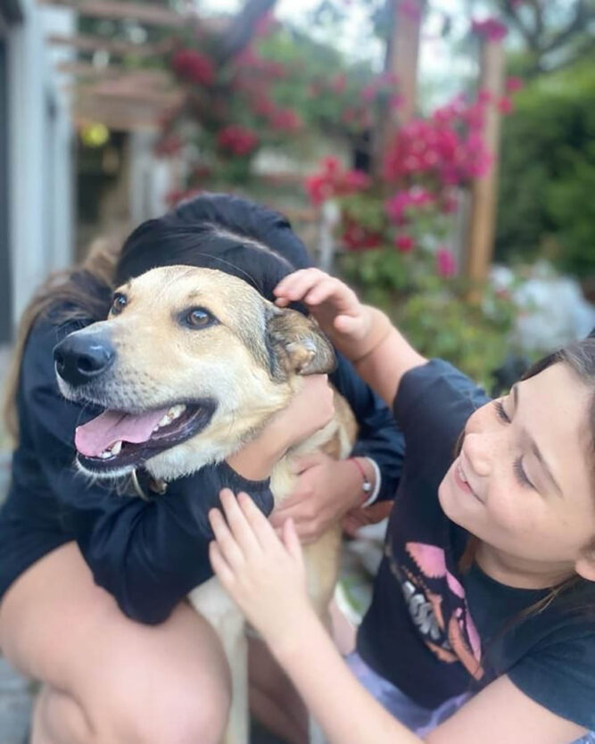 Perro desaparecido regresa a casa