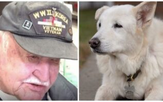 13-Year-Old Dog Spent His Entire Life At Shelter, Until Elderly Veteran Took Him In