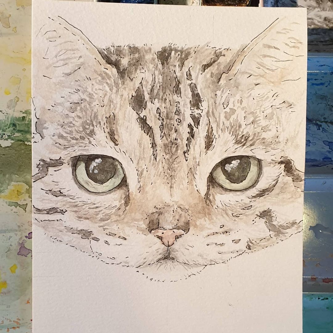 Pintura de gato de 18 años
