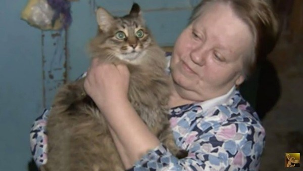 Cat saved a newborn baby that was cruelly left in a basement in a small box